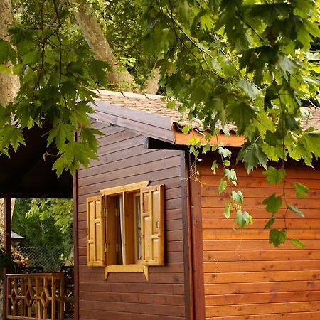 Maji Village Çıralı Exteriör bild