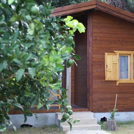 Maji Village Çıralı Exteriör bild