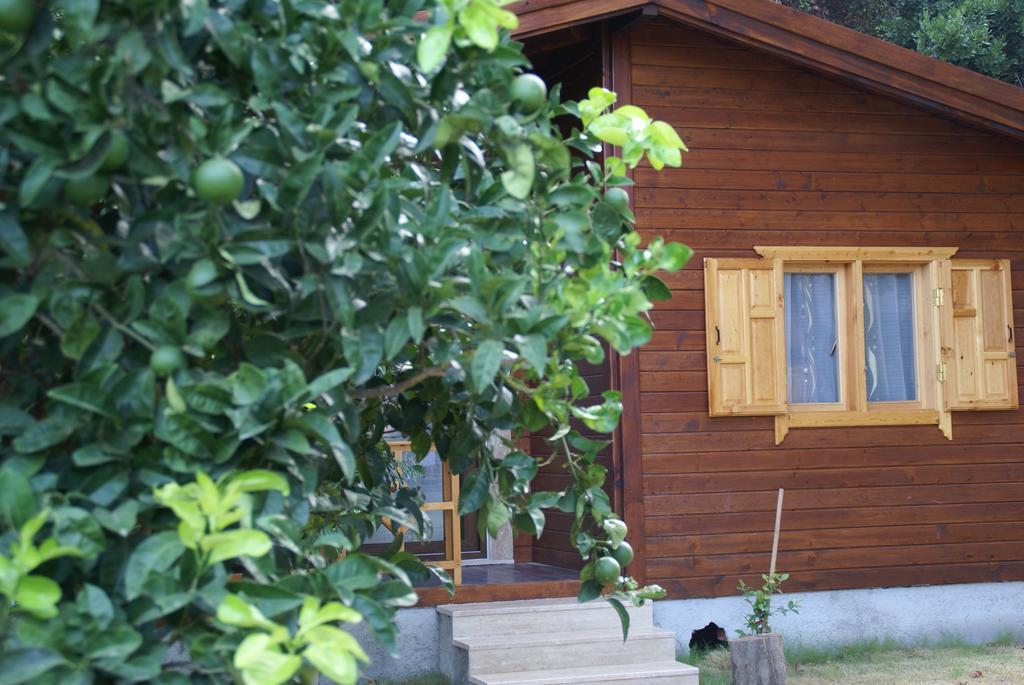 Maji Village Çıralı Exteriör bild
