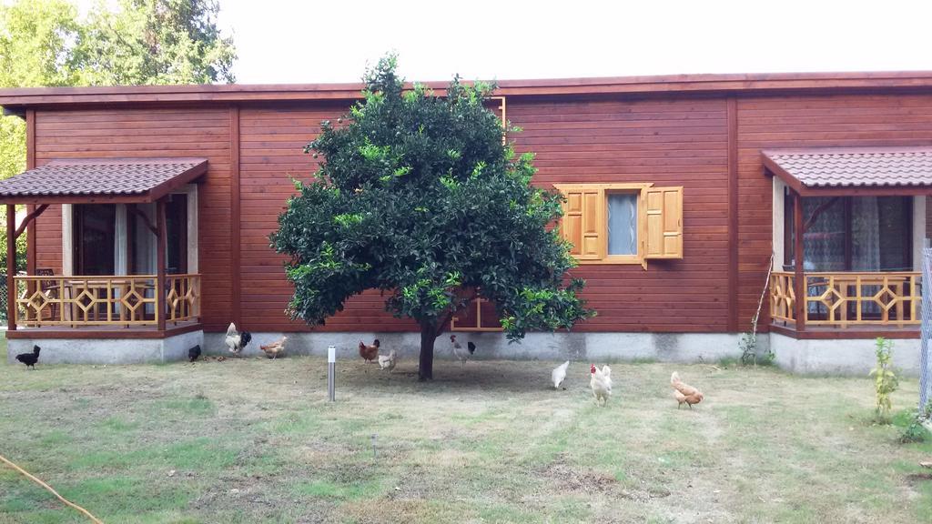 Maji Village Çıralı Rum bild