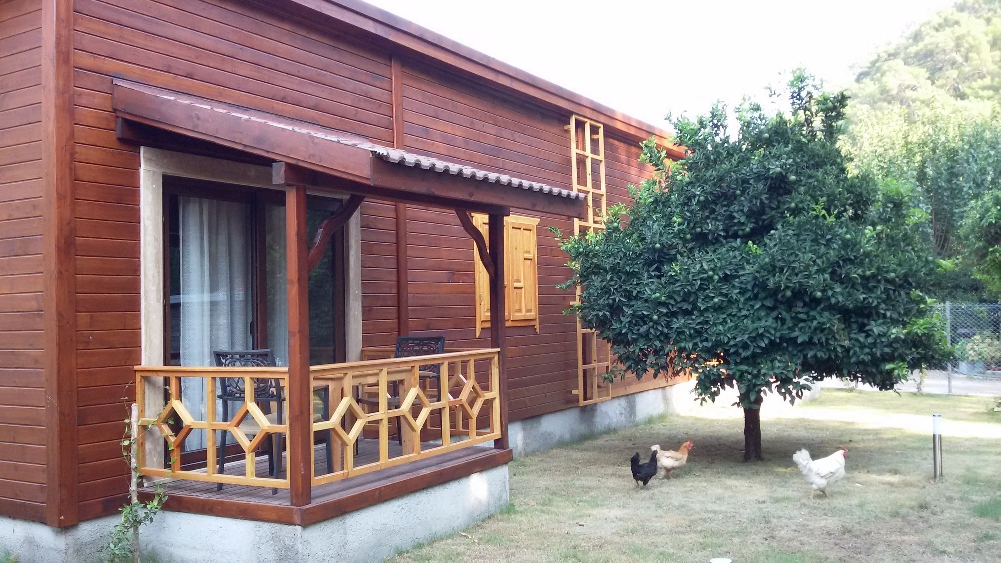 Maji Village Çıralı Exteriör bild